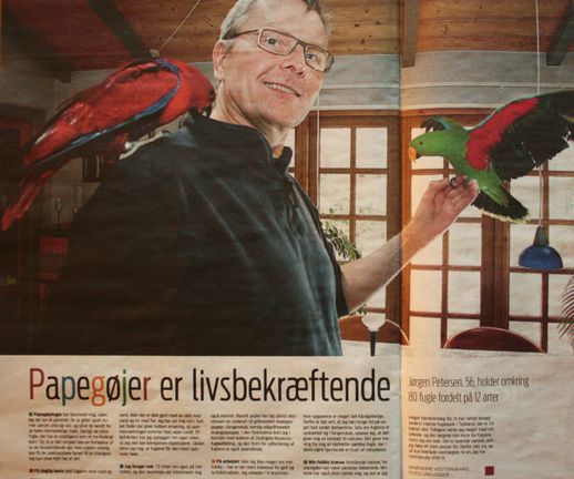 A newspaper about www.birdkeeper.dk