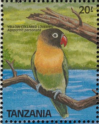 Frimærke fra den Sorthovedet dværgpapegøjes (Agapornis personatus) eget hjemland, Tanzania. Derudover har en række andre lande publiceret 