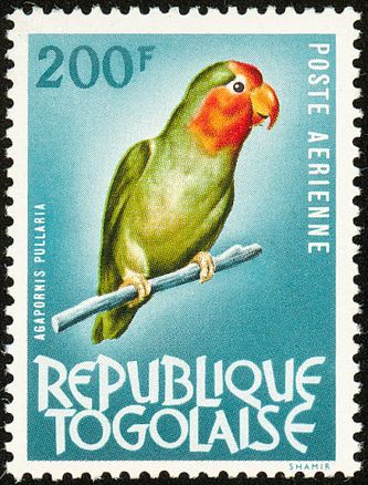 Orangehovedet dværgpapegøje lever også i det afrikanske land, Togo, som har udgivet dette frimærke med et - ikke særligt vellignende - motiv af denne art