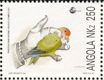 Dette er et andet af de i alt 4 frimærker i en samling af frimærker fra Angola, der er udgivet med underarten, Angola Rosenhovedet dværgpapegøje (Agapornis r. catumbella), som motiv. Det interessante ved dette motiv er, at det viser fuglen, hvor den holdes som tamfugl, hvilket dokumenterer, at denne art også er populær i fangenskab i Afrika