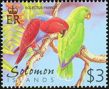 Her ses endnu et frimærke fra Solomon øerne med et par Ædelpapegøjer som motiv. Der kan næppe herske tvivl om, at der også her er tale om Solomon Ædelpapegøjen (Eclectus roratus solomonensis), selv om fuglenes haler retteligen burde være tegnet meget kortere. Solomon øerne var befolket allerede for ca. 5.000 år siden, og i 1568 ankom de første europæere i form af den spanske opdagelsesrejsende Alvaro de Mendana. Han opdagede guld på Guadalcanal, der indgår i Solomon øerne. Guadalcanal blev kendt under 2. Verdenskrig, da her foregik intense kampe mellem amerikanske og japanske styrker, herunder et af Stillehavskrigens afgørende slag. Mendana troede formentligt, at han havde fundet kilden til Kong Salomons miner, og han gav derfor øerne navnet Salomon øerne (Solomon øerne). Foranlediget af Mendana har mange af øerne, som udgør Solomon øerne, originale spanske navne