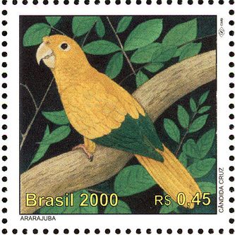 Stamp with the Golden Parakeet
Guaruba guarouba: Empresa Brasileira de Correios e Telégrafos (Brazilian Post and Telegraph Corporation), abbreviated as ECT, also known as Correios, is a state-owned company that operates the national postal service of Brazil since the seventeenth century. On 22nd April 2000 Correios issued a stamp with the Golden Parakeet as motif and stated the following: “Golden Parakeet is a medium sized golden yellow neotropical parrot native to Amazon basin of Northern Brazil”. This stamp was part of a stamp sheet issued to mark the 500th anniversary of the discovery of Brazil. At the time of writing, 16 other countries' post offices have issued stamps with the Golden Parakeet as a motif, the vast majority of African states where the Golden Parakeet does not live, but you can earn foreign currency by selling stamps.