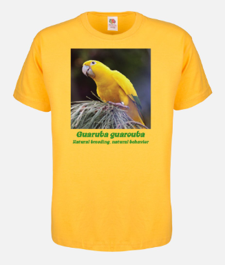 Photo 11:
Guaruba guarouba: I would like to promote that more aviculturists purposefully work on natural breeding of Golden Parakeets, so that we can get more birds with natural behavior among serious breeders. That is why I have had this T-shirt made for myself with the motto: 
